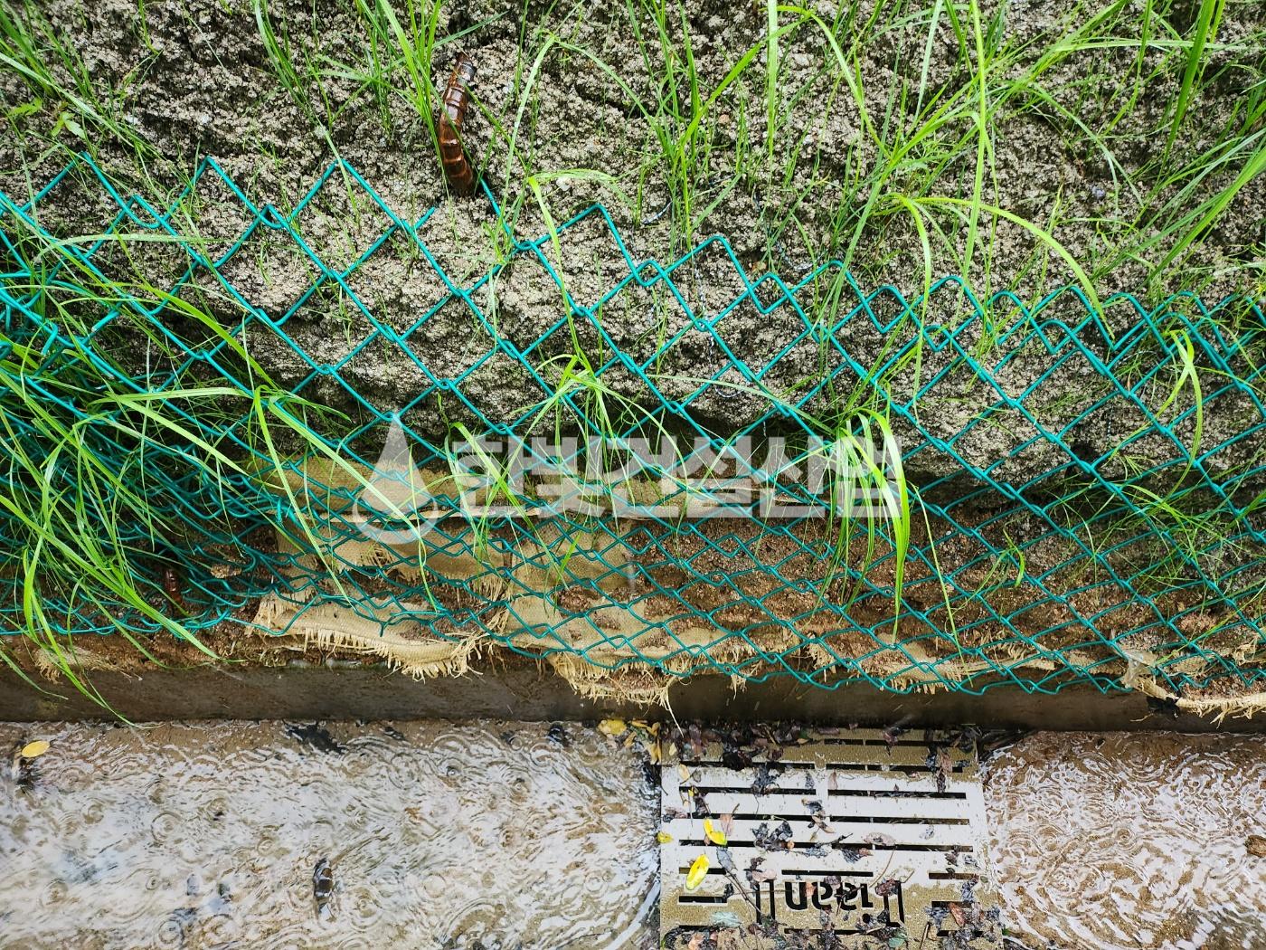 /user/h/hanbit/editor/2308/c56c6aef4828a5d64b9448c5146f895e_1691217900_2048.jpg 이미지크게보기