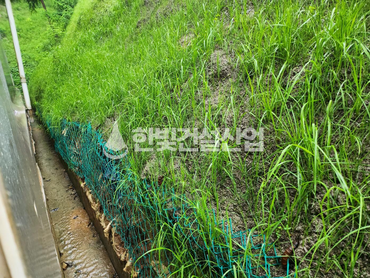 /user/h/hanbit/editor/2308/c56c6aef4828a5d64b9448c5146f895e_1691217906_3419.jpg 이미지크게보기