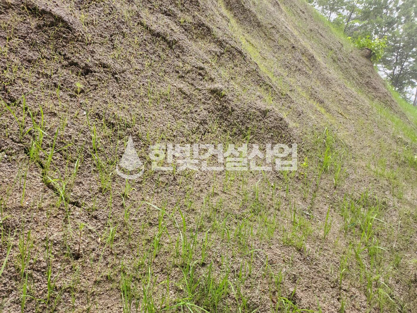 /user/h/hanbit/editor/2308/c56c6aef4828a5d64b9448c5146f895e_1691217912_3067.jpg 이미지크게보기