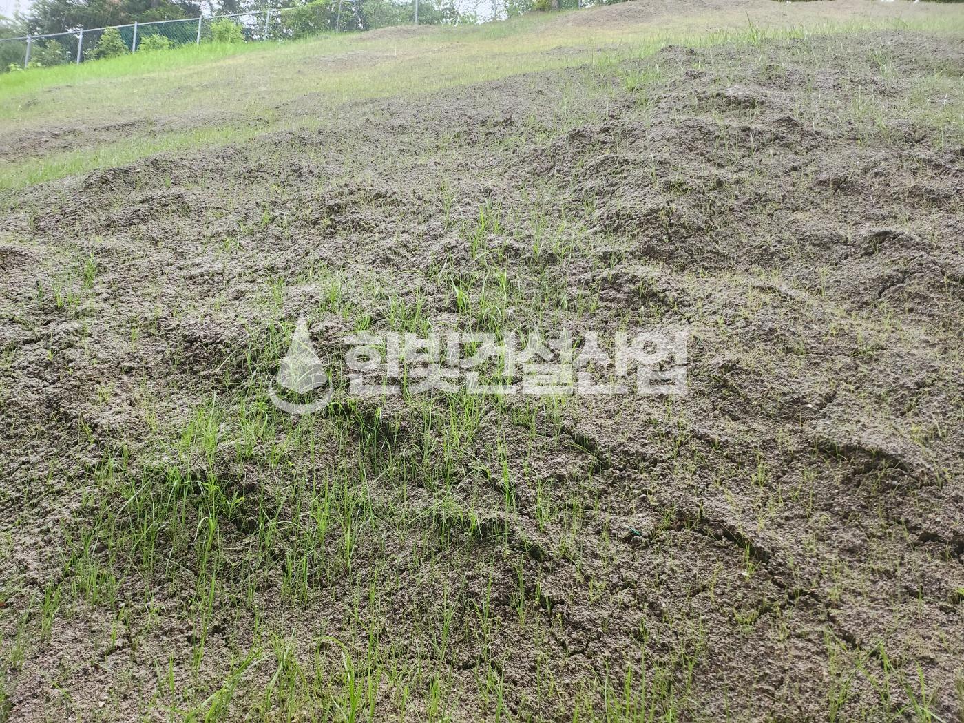 /user/h/hanbit/editor/2308/c56c6aef4828a5d64b9448c5146f895e_1691217918_1545.jpg 이미지크게보기