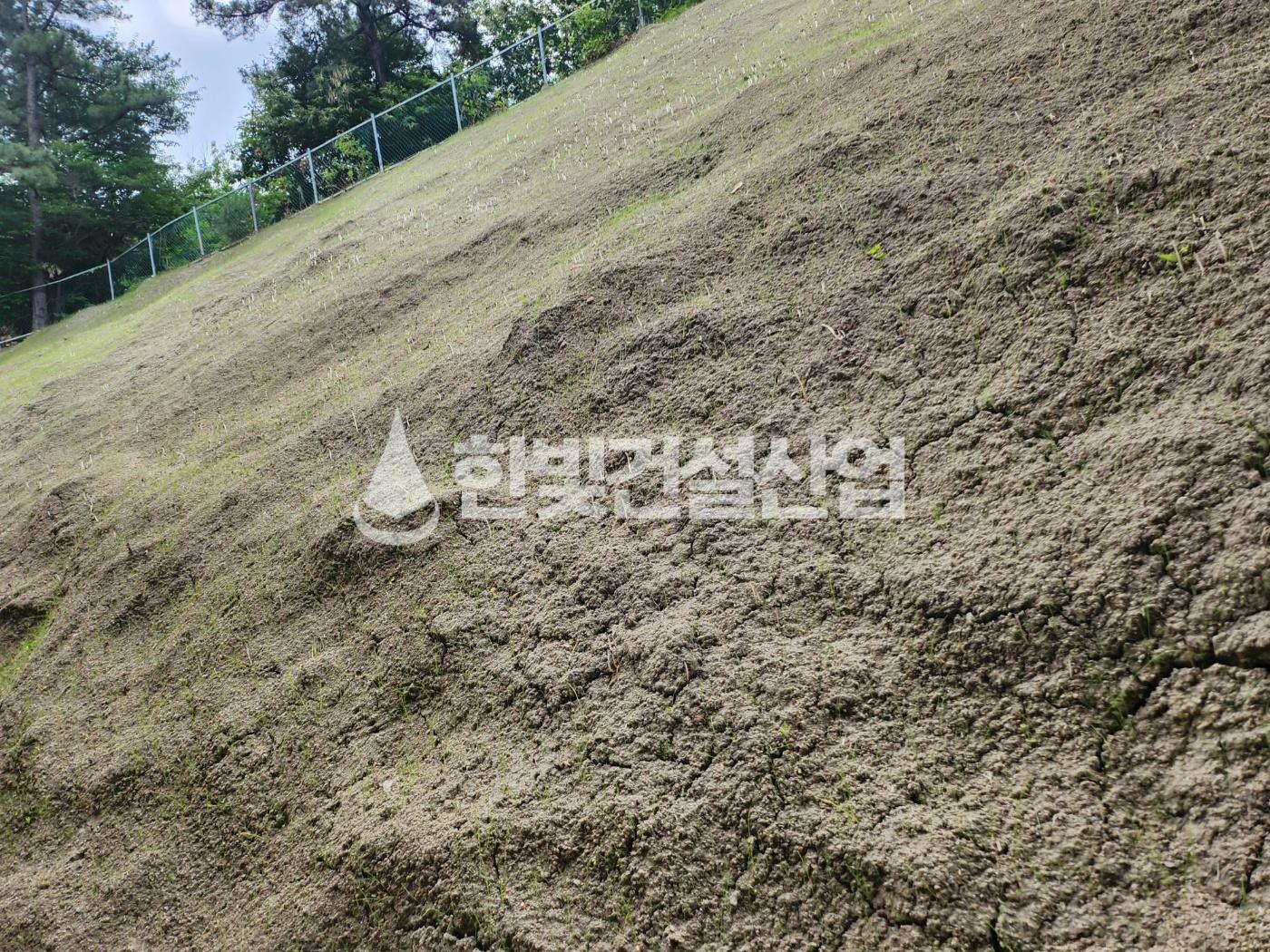 /user/h/hanbit/editor/2308/c56c6aef4828a5d64b9448c5146f895e_1691217926_8804.jpg 이미지크게보기